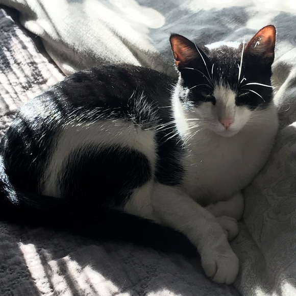 Meet your Posher, Kate - Picture 9 of 9